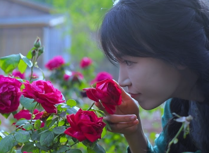 玫瑰花如何完成开花受精，需要人工干预吗？