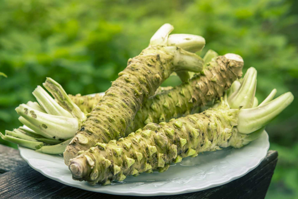 山葵和芥末的区别，两者分别有那些特点？