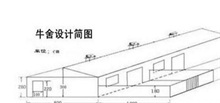 养牛场建设"