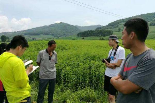 农民在农村如何致富赚钱