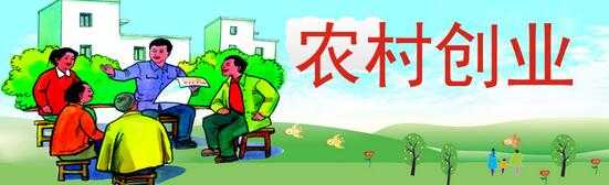 回乡创业做什么好？农村致富新点子告诉你"