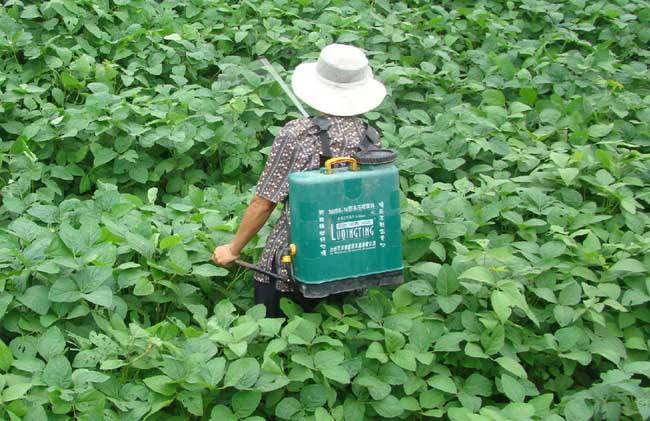 十种提高农药利用率的方法技巧"