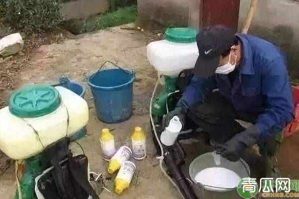 水稻除草剂和杀虫剂可以混用吗？"