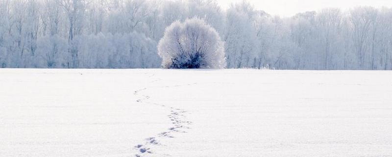 大雪节气是什么意思？大雪节气与农业生产"