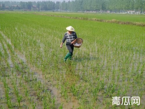 大量元素水溶肥料使用方法"