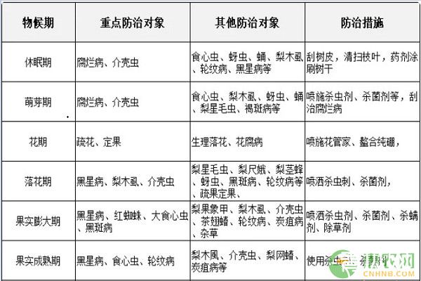 梨树病虫害防治时间表"