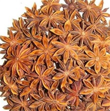 八角茴香(star anise)