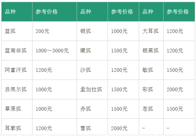 宠物狐狸的价格行情"