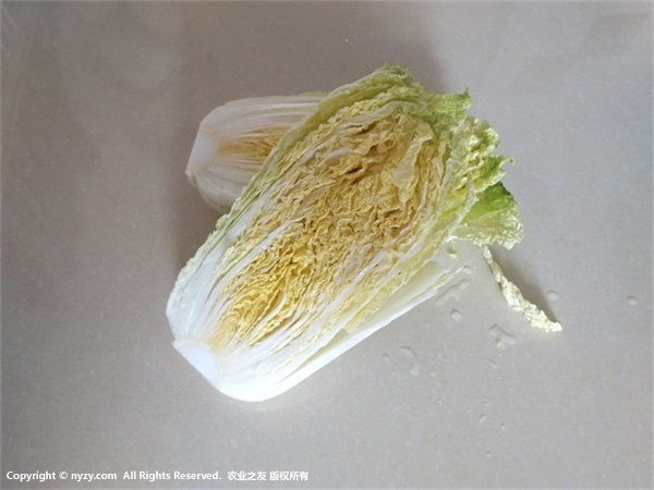 用唐王的白菜