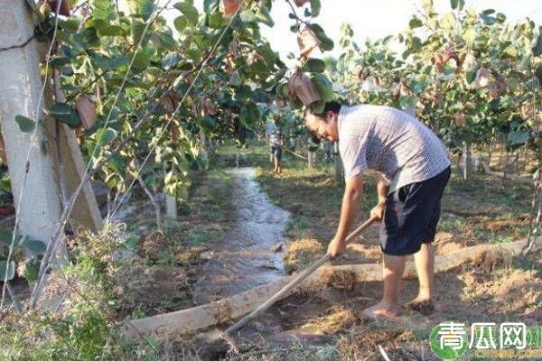 果园抗旱有什么好方法介绍"