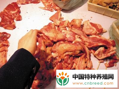 水貂肉品质鉴定的方法