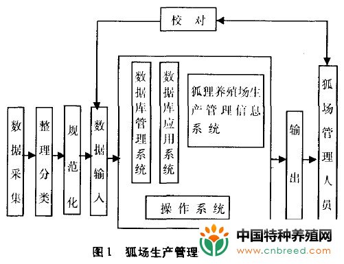 狐狸养殖场生产管理信息系统的设计与应用(2)