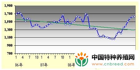 2010年上半年日本鳗鱼市场报告 日本降低中国活鳗进口份额