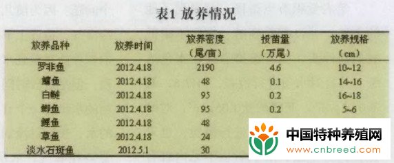 新吉富罗非鱼健康养殖模式试验"