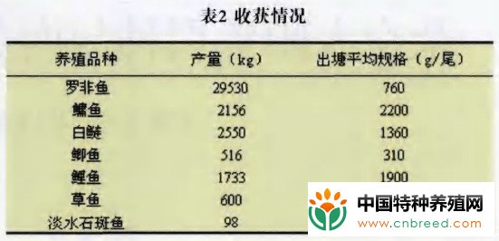 新吉富罗非鱼健康养殖模式试验(3)