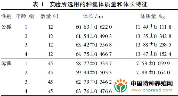 人工饲养的北极狐不同年龄阶段种狐的繁殖能力(2)