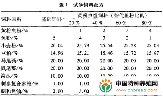 黄粉虫对幼刺参生长、消化和免疫力的影响(2)