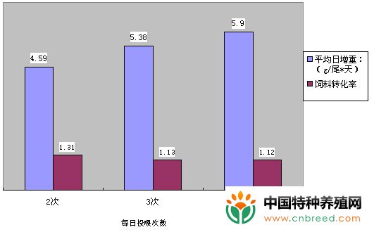 罗非鱼养殖的新进展(5)