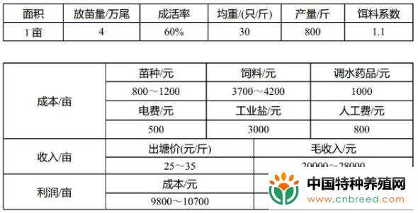 养殖对虾的风险和利润主要有哪些？