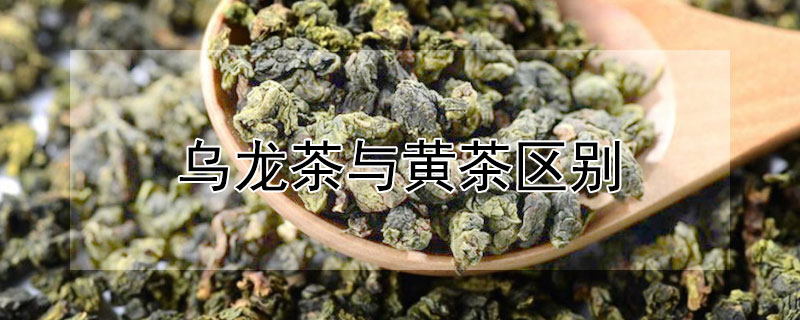 乌龙茶与黄茶区别"