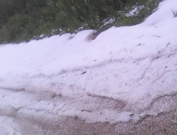 赤道附近的喀麦隆下雪了