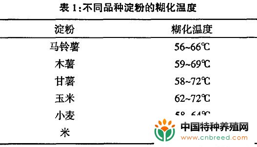 鳗鱼饲料专用淀粉的生产与应用研究