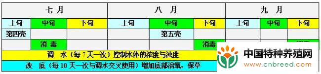 夏季高温河蟹养殖日常管理需做好四方面工作(2)