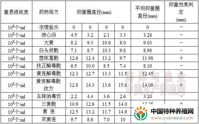 罗非鱼链球菌病病原鉴定及中草药药敏试验"