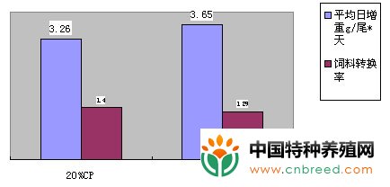 罗非鱼养殖的新进展"