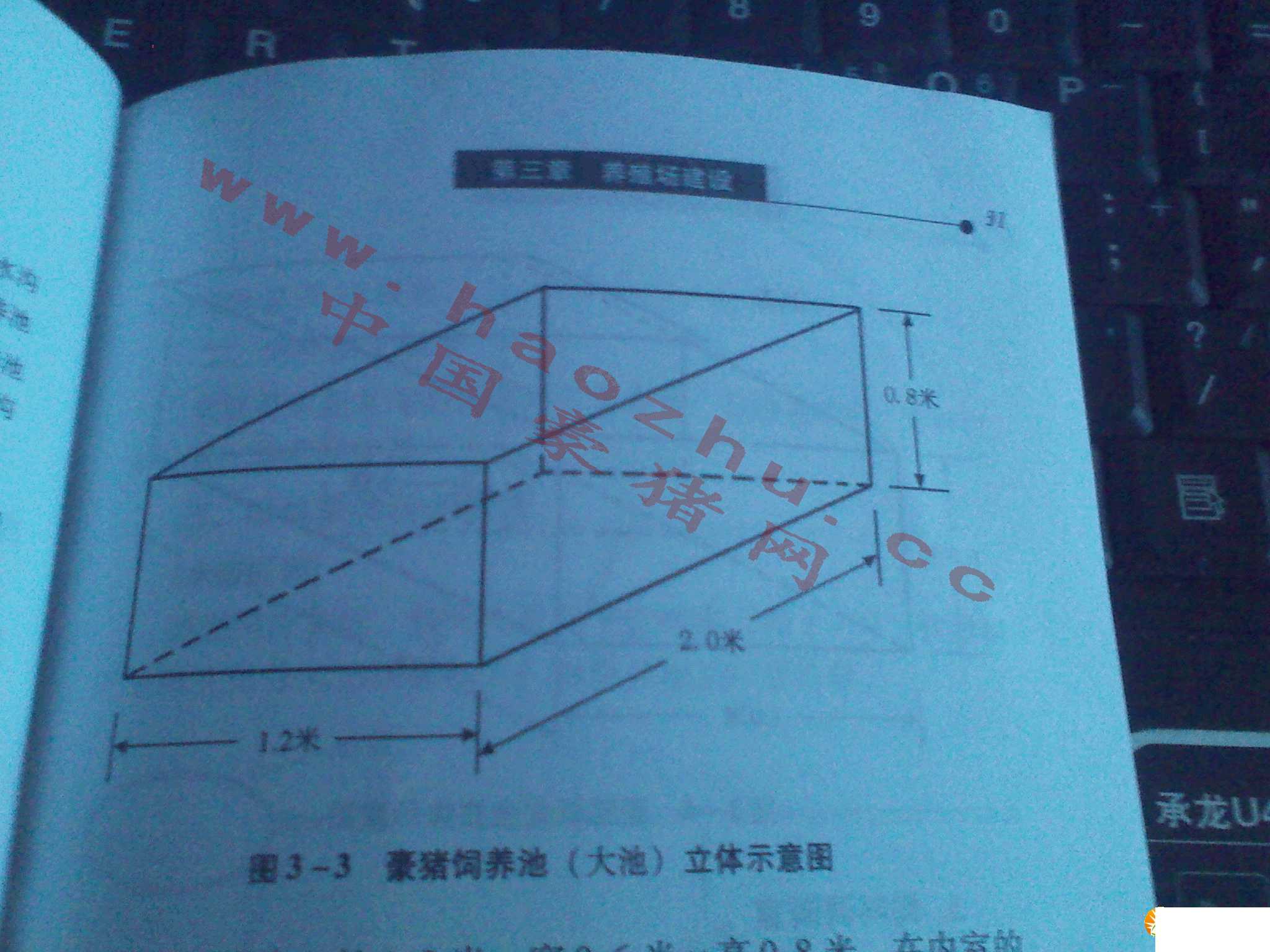 豪猪养殖池建造及其要点