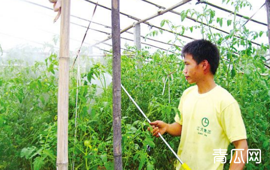 不同的蔬菜除草用什么除草剂？"