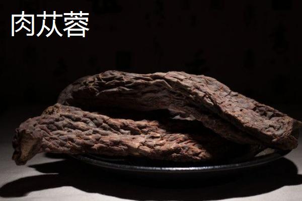 油苁蓉和肉苁蓉的区别是什么 草苁蓉和肉苁蓉的区别是什么