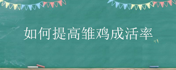 如何提高雏鸡成活率