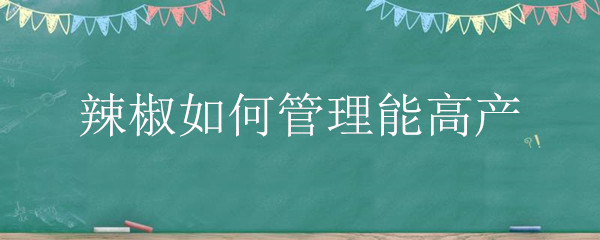 辣椒如何管理能高产