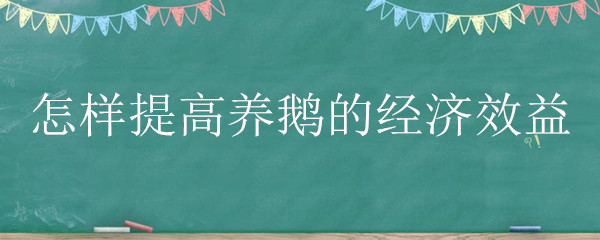 怎样提高养鹅的经济效益