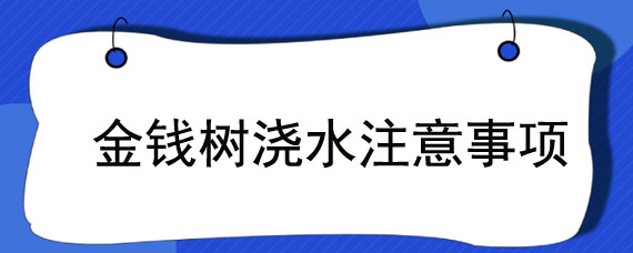 金钱树浇水注意事项