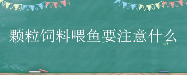 颗粒饲料喂鱼要注意什么