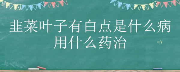 韭菜叶子有白点是什么病用什么药治