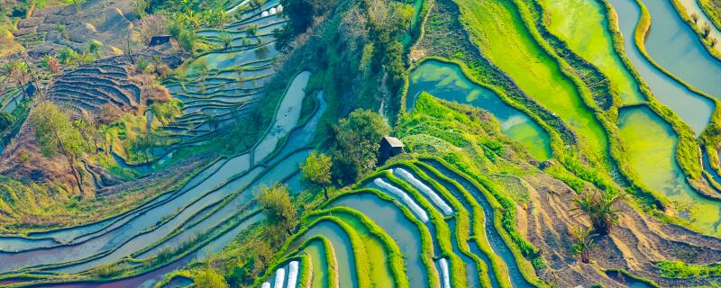 风化石土壤适合种植什么