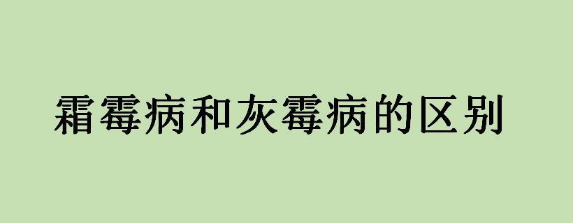 霜霉病和灰霉病的区别