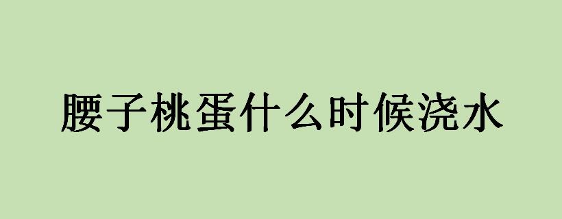 腰子桃蛋什么时候浇水