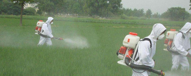 封闭除草剂打多久不怕下雨