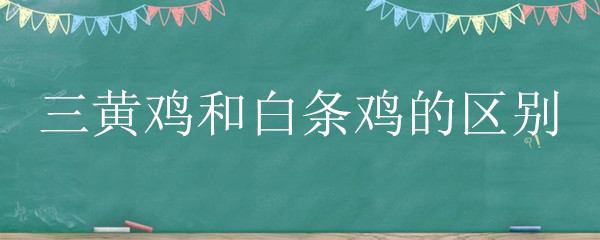 三黄鸡和白条鸡的区别