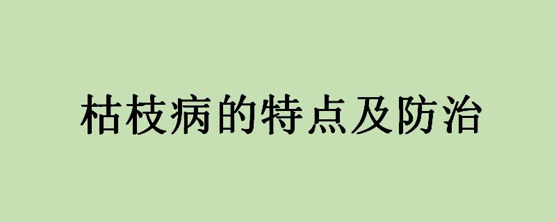 枯枝病的特点及防治