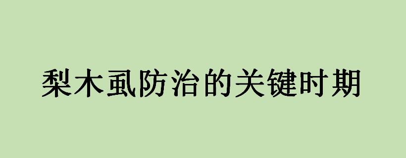 梨木虱防治的关键时期