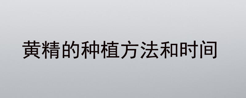 黄精的种植方法和时间