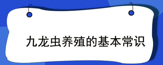 九龙虫养殖的基本常识