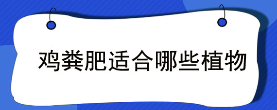 鸡粪肥适合哪些植物