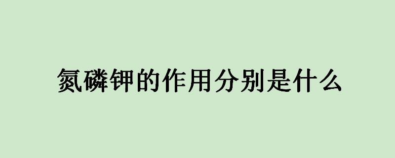 氮磷钾的作用分别是什么