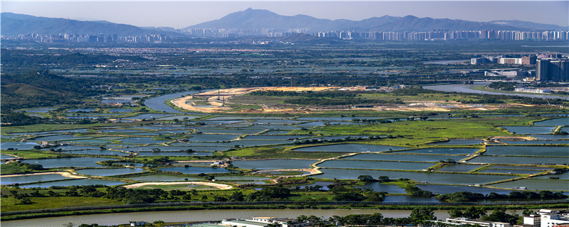 鱼池怎么施肥